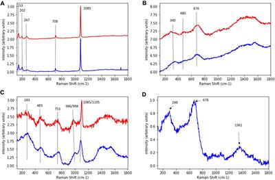 On the corrosion of ductile cast iron by sulphate reducing bacteria—implications for long-term nuclear waste repositories